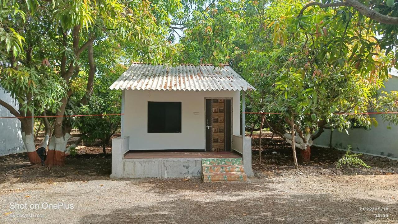 Gir Madhuli Farmhouse Sasan Gir Εξωτερικό φωτογραφία